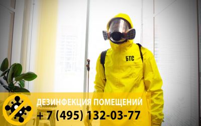 В нашей компании вы так же можете заказать обработку офиса от вирусов и бактерий