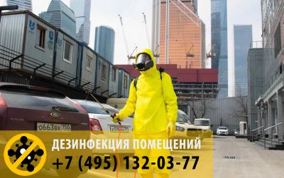 Недорогие услуги по дезинфекции помещений 