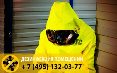 Обработаем ваш офис самыми современными препаратами. у вирусов нет ни одного шанса. 