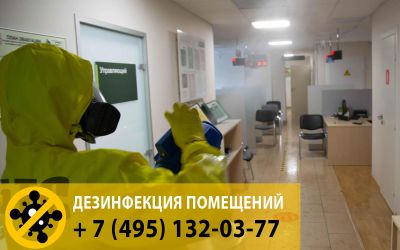 В нашей компании вы можете заказать как профилактическую обработку от коронавируса, так и очаговую дезинфекцию. 
