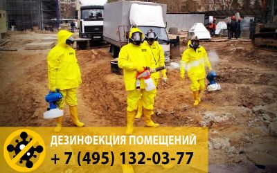 Качественные и недорогие услуги по дезинфекции офисных помещений в Москве и Московской области.