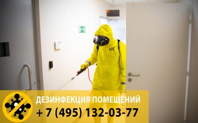 Мы проводим дезинфекционные обработки от клопов по всей Москве и Московской области. Обращайтесь!