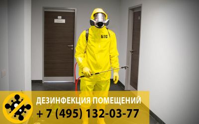 Во время пандемии (эпидемии коронавируса) наша компания работает в штатном режиме. Дезинфекции торговых площадей осуществляются круглосуточно!