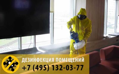 Противовирусная дезинфекция в офисе. Регулярная обработка многократно снижает риск заражения коронавирусом COVID-19